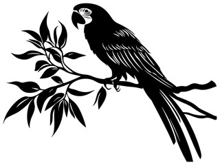 Silhouette of macaw bird