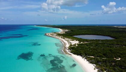 Aerial view of a tropical beach and coastline (1)
