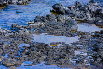 2025 07 06 Lava Rock-Ho'Okipa Beach Park in Maui - Hawaii 003