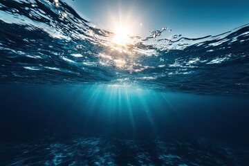Fototapeta premium Sunlight Underwater Scene