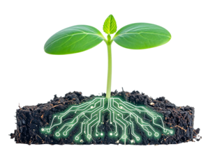 Green Plant with Circuit Design Rooting in Dark Soil Background