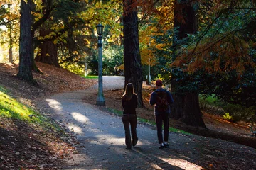 Gardinen Fallen High resolution picture of a couple walking through Laurelhurst Park in Portland during fall, surrounded by tall trees with colorful autumn leaves, creating a peaceful seasonal outdoor scene  © Hrach