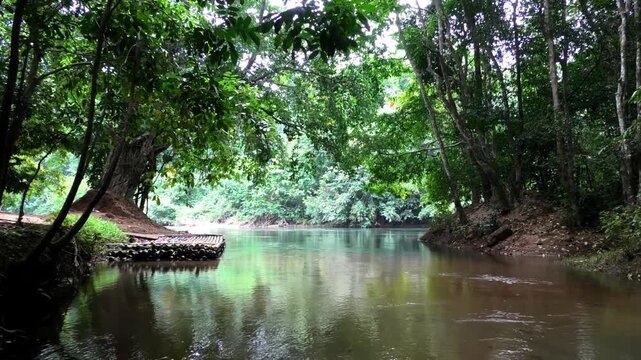Kallar river seen from the area of Adavi Eco Tourism, Pathanamthitta, Kerala, India