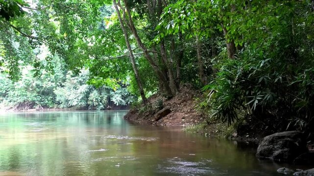 Kallar river seen from the area of Adavi Eco Tourism, Pathanamthitta, Kerala, India