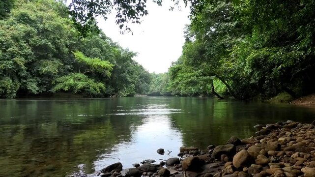 Kallar river seen from the area of Adavi Eco Tourism, Pathanamthitta, Kerala, India