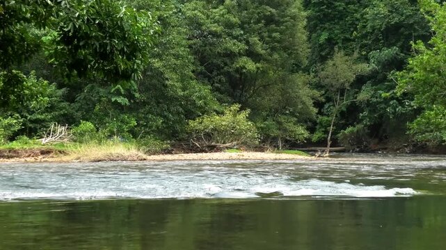 Kallar river seen from the area of Adavi Eco Tourism, Pathanamthitta, Kerala, India