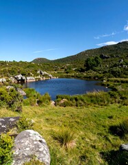 Serene mountain lake nestled in a verdant valley under a clear blue sky