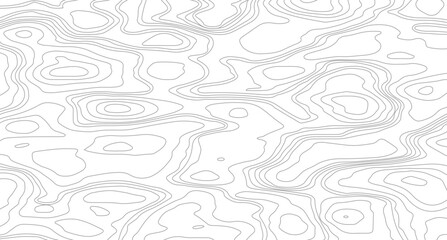 Topographic contour map. similarcartography illustration. Business concept. Fish Fillet Texture, Salmon fillet texture, fish pattern. 