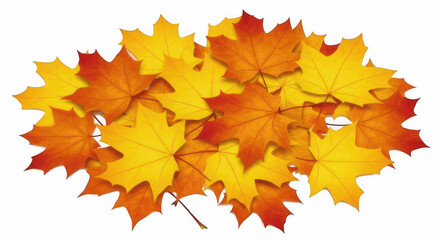 Autumn Maple Leaves in Orange and Yellow &ndash; Isolated on Transparent PNG Background