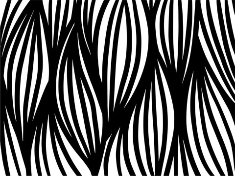 pattern texture template motif black white template lines line stripe