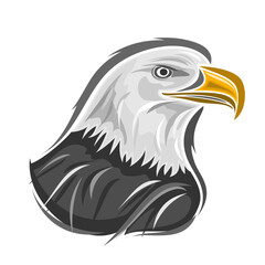 Vector illustration of Bald Eagle