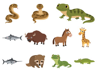 Fototapeta premium Adorable Woodland Characters A Collection of Cute Animal Illustrations