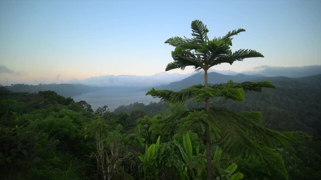 Lake Danau Buyan in Mountains of Bali, Indonesia. Hills of north Bali