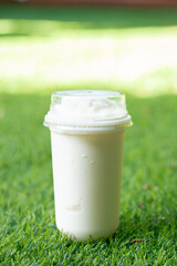 Coconut Milk Smoothies