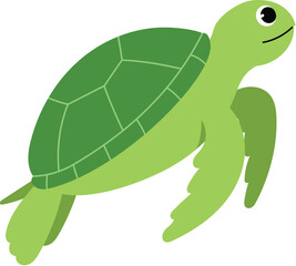 friendly sea turtle cartoon , cute underwater sea turtle character, sea life animal, isolated child aquamarine life illustration