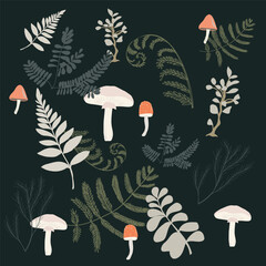 A collection of forest mushrooms and fern leaves in a flat botanical style. Woodland nature illustrations perfect for patterns, posters, packaging, invitations, and modern design projects