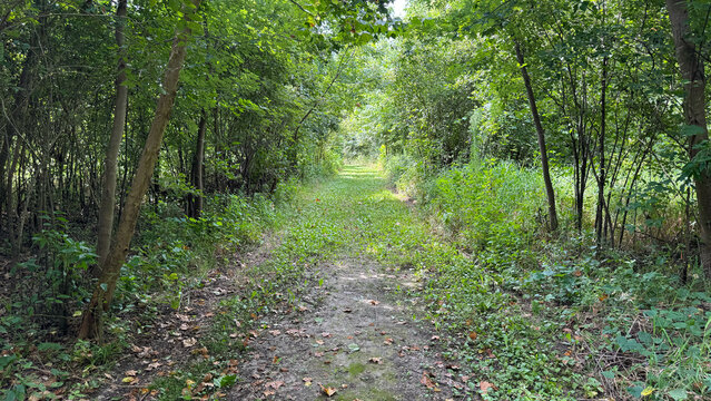 path through Nebraska wildlife area
