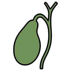 gallbladder organ flat color vector illustration template design