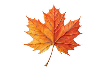 Fototapeta premium Vibrant orange maple leaf isolated on transparent background, symbol of autumn