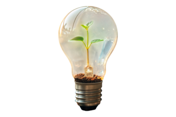 Light bulb with a plant growing inside, symbolizing innovation isolated on transparent background