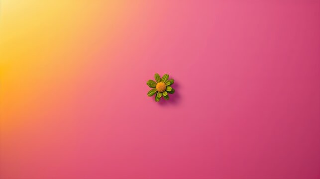 Delicate green flower with yellow center on vibrant pink background with soft yellow gradient