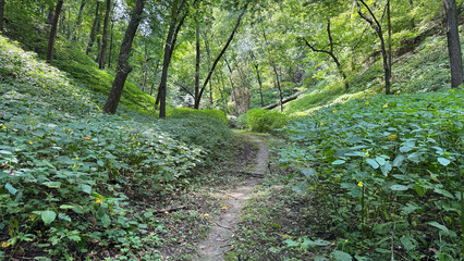 trail through Nebraska wildlife area