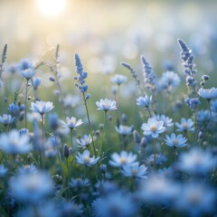 Obraz premium lavender flowers in the wind