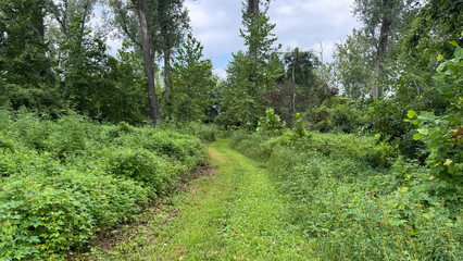 trail through Nebraska wildlife area