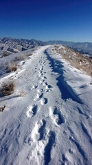 Snow-covered trail winding along a ridge, footprints visible
