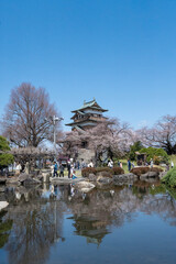 高島城の桜