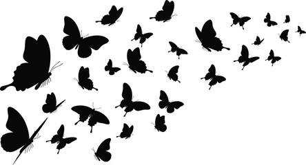 Naklejka premium Butterfly silhouettes collection, flying motion pattern, insect species, nature art, vector illustration, wildlife icon, animal design, migration effect, garden fauna, wing detail