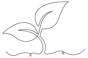 Continuous one line drawing of growing sprout with leaves outline vector illustration for eco design
