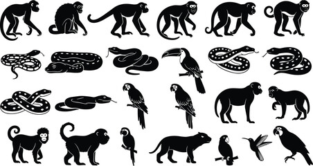 Jungle animal silhouettes, monkey snake bird jaguar, tropical wildlife, vector illustration, nature art, exotic fauna, rainforest icon, predator prey, animal design, wild species