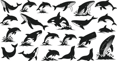 Marine mammal silhouettes, whale dolphin orca seal sea lion, ocean wildlife, vector illustration, nature art, aquatic fauna, underwater design, marine life icon