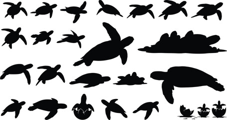 Turtle silhouettes collection, swimming walking hatching, marine reptile, sea turtle, wildlife art, vector illustration, nature design, aquatic icon, ocean habitat, fauna species
