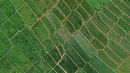 Aerial view of agricultural fields and farmland © Kanurism
