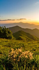 Obraz premium Mountain meadow at sunrise (1)