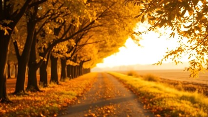 Tree-lined autumn pathway with golden leaves leading to a softly focused horizon under golden hour light.