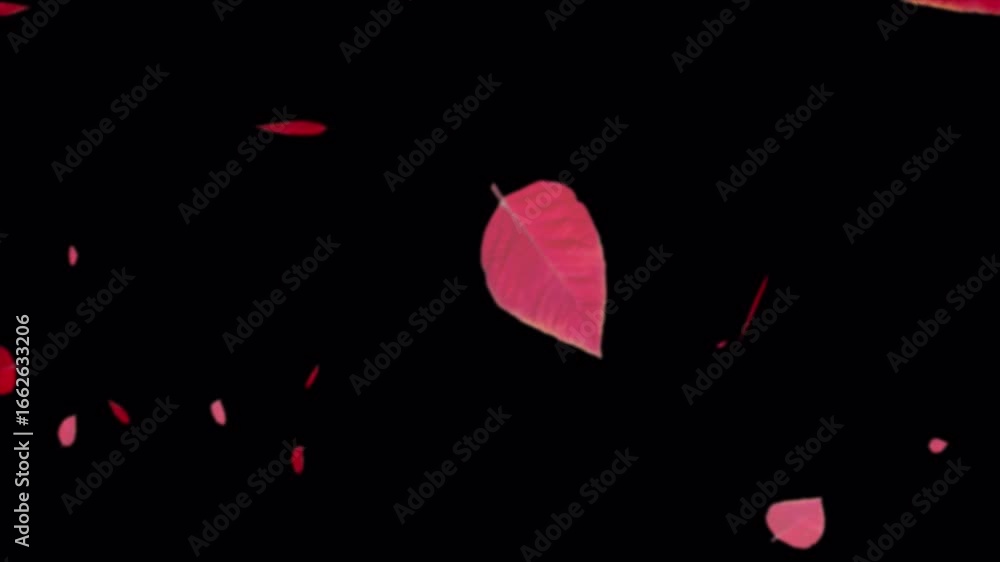 Poster floating red leaves: dynamic abstract motion on black
