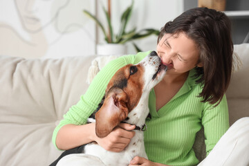 Young woman with Beagle dog having fun on sofa at home