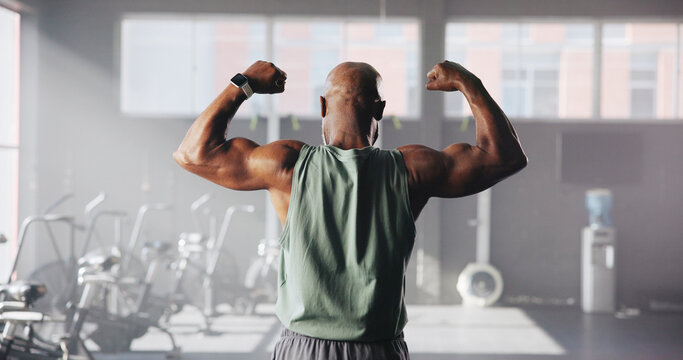 Fitness, flex and back of man in gym for bodybuilding training, exercise and strength workout. Sports, athlete and person with muscles, biceps and strong arms for wellness, health and challenge