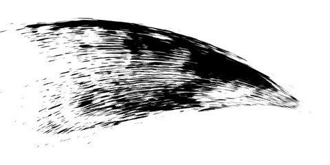 Grunge badge brush, hand drawn black sticker. eps 10