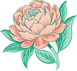 Vintage peony flower sketch in pastel pink and green, editable vector on white paper-like background.