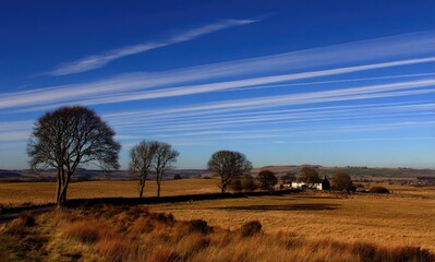 Obraz premium Open Sky Over Autumn Field