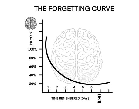 illustration of biology, forgetting curve psychology, The Forgetting Curve, or the Ebbinghaus Curve of Forgetting, is an influential memory model, loss of memories