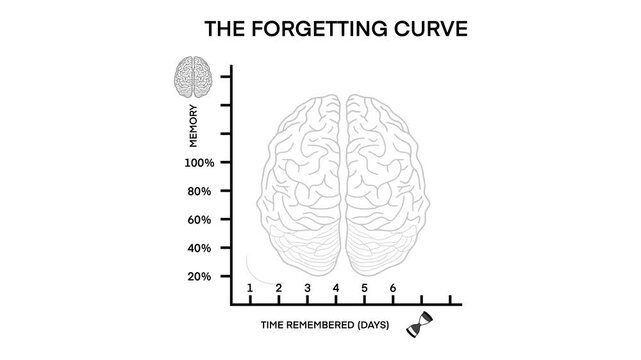 motion of biology, forgetting curve psychology, The Forgetting Curve, or the Ebbinghaus Curve of Forgetting, is an influential memory model, loss of memories