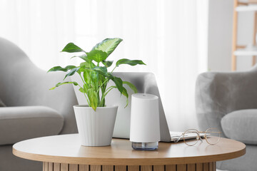 Modern air humidifier with plant and laptop on table in living room