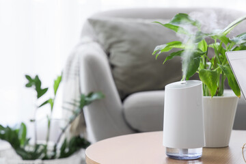 Modern air humidifier with plant on table in living room, closeup