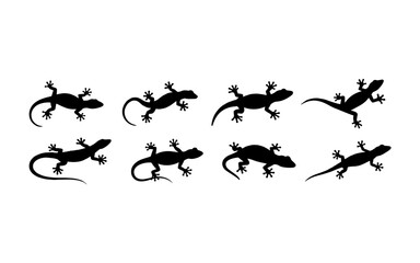 Vector Illustration of Various Gecko Silhouettes