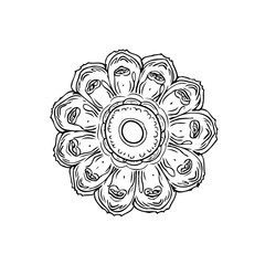 Detailed monochrome botanical illustration presenting a flower bloom with intricate linework and